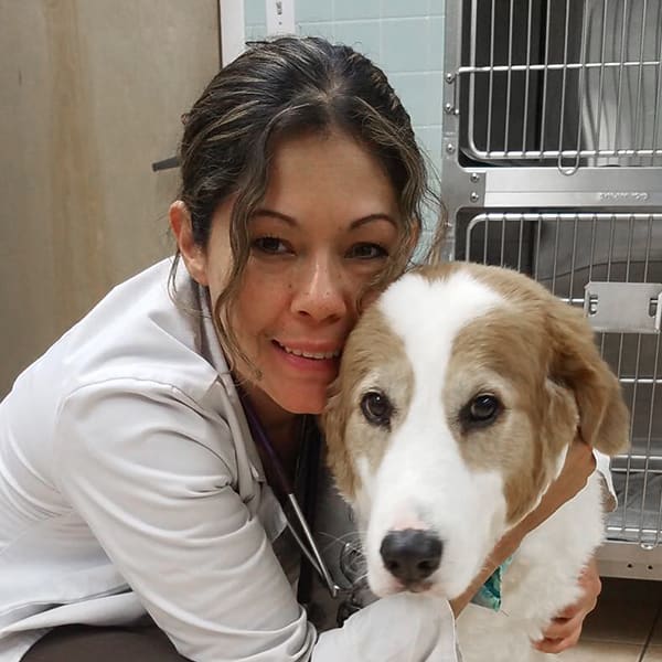 Dr. Ana Amato, Middlesex Veterinarian
