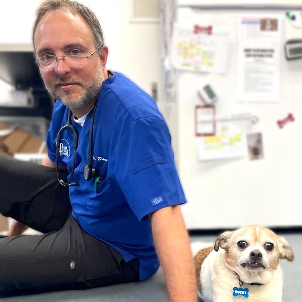 Dr. David Schroepfer, Middlesex Associate Veterinarian