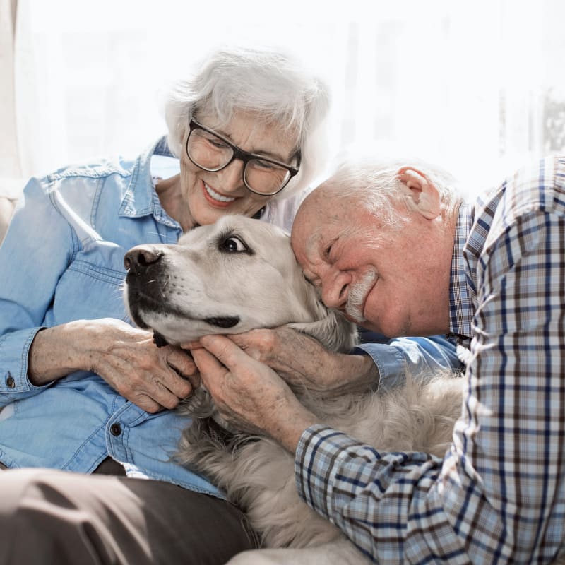 Geriatric Care for Pets, Middlesex